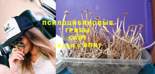 тгк Лабытнанги
