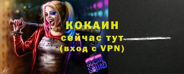 дживик Балахна