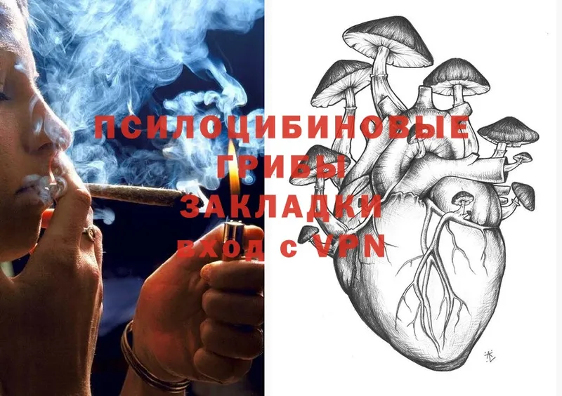 Галлюциногенные грибы MAGIC MUSHROOMS  Белокуриха 